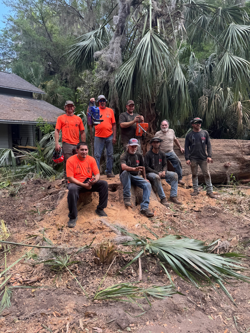 The Wood Doctor Tree Service - Micanopy, FL