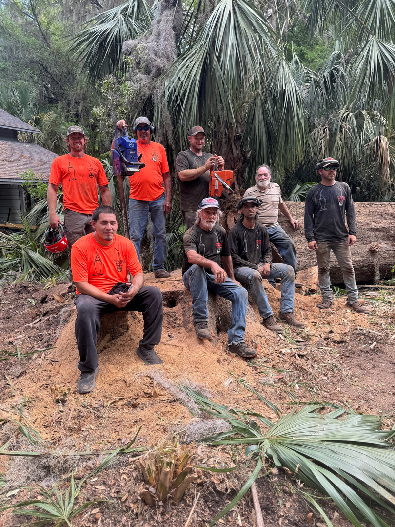 The Wood Doctor Tree Service - Micanopy, FL
