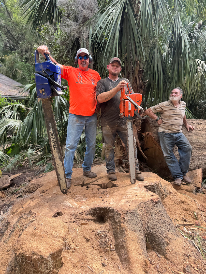 The Wood Doctor Tree Service - Micanopy, FL