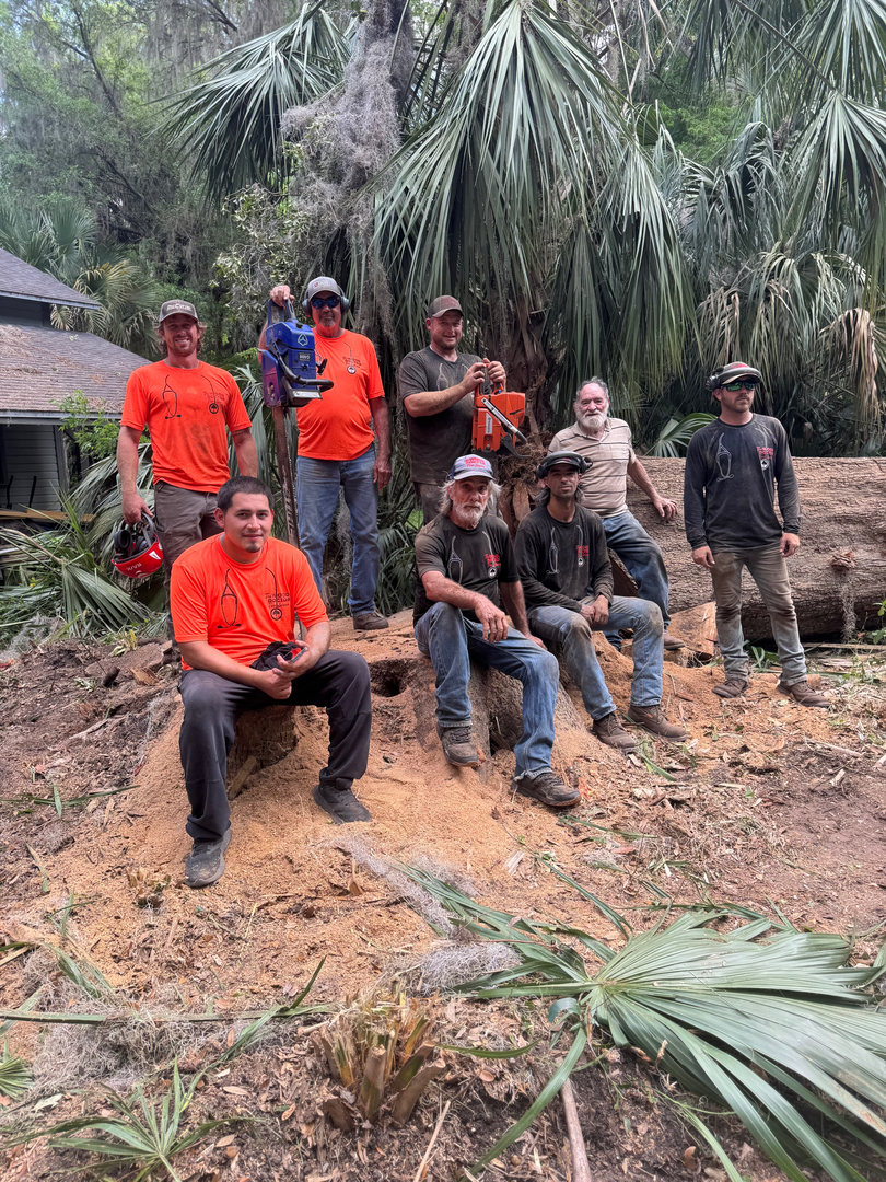 The Wood Doctor Tree Service - Micanopy, FL