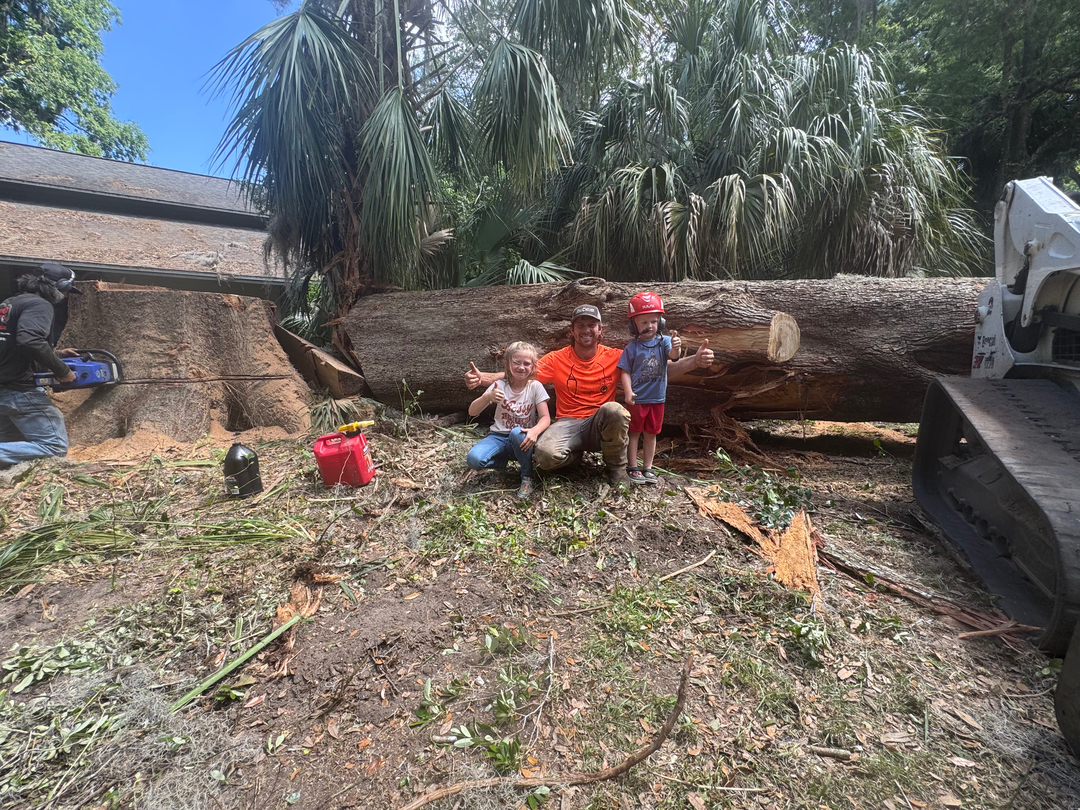 The Wood Doctor Tree Service - Micanopy, FL