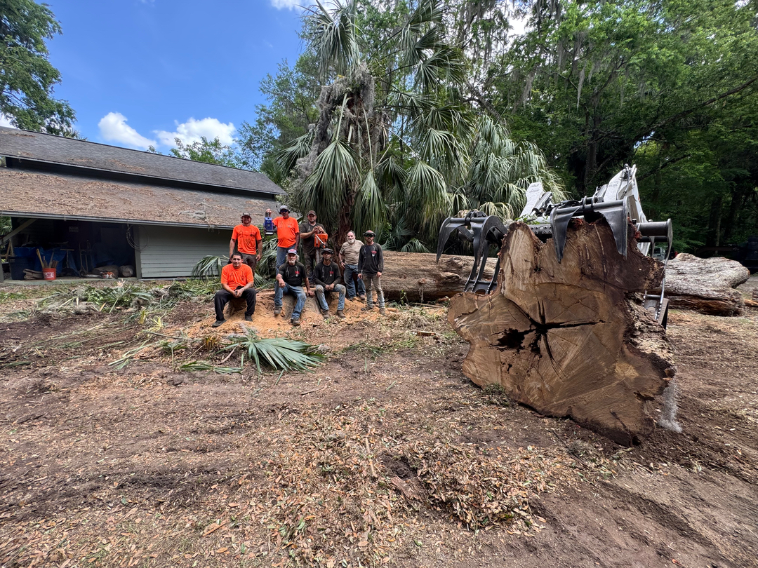 The Wood Doctor Tree Service - Micanopy, FL