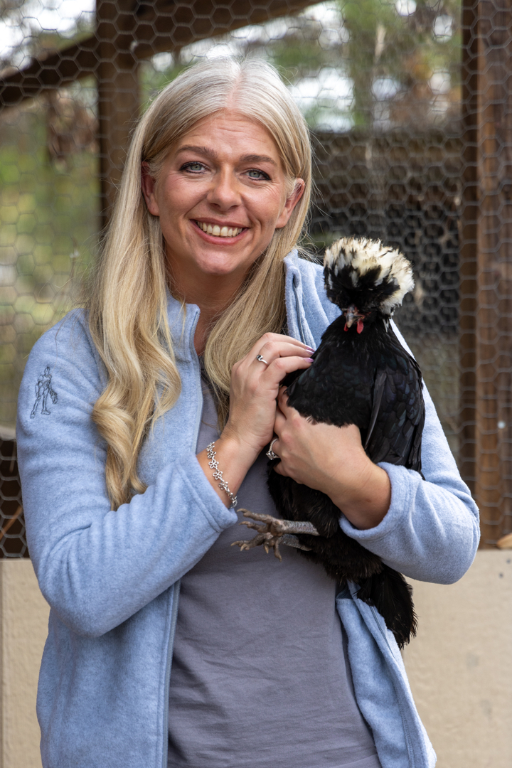 Loyalty Plumbing LLC Image