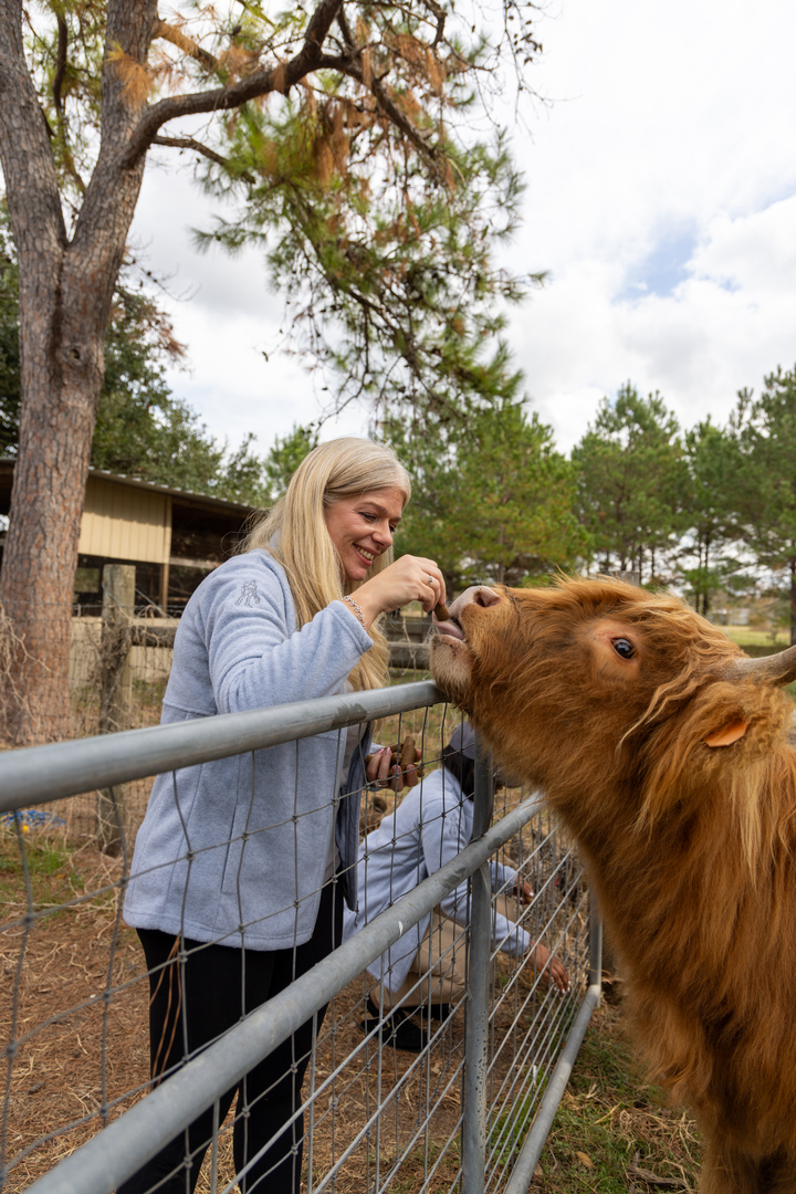 Loyalty Plumbing LLC Image