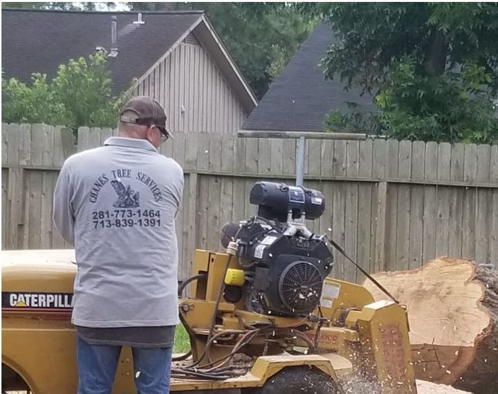 Chanes Tree Service Image