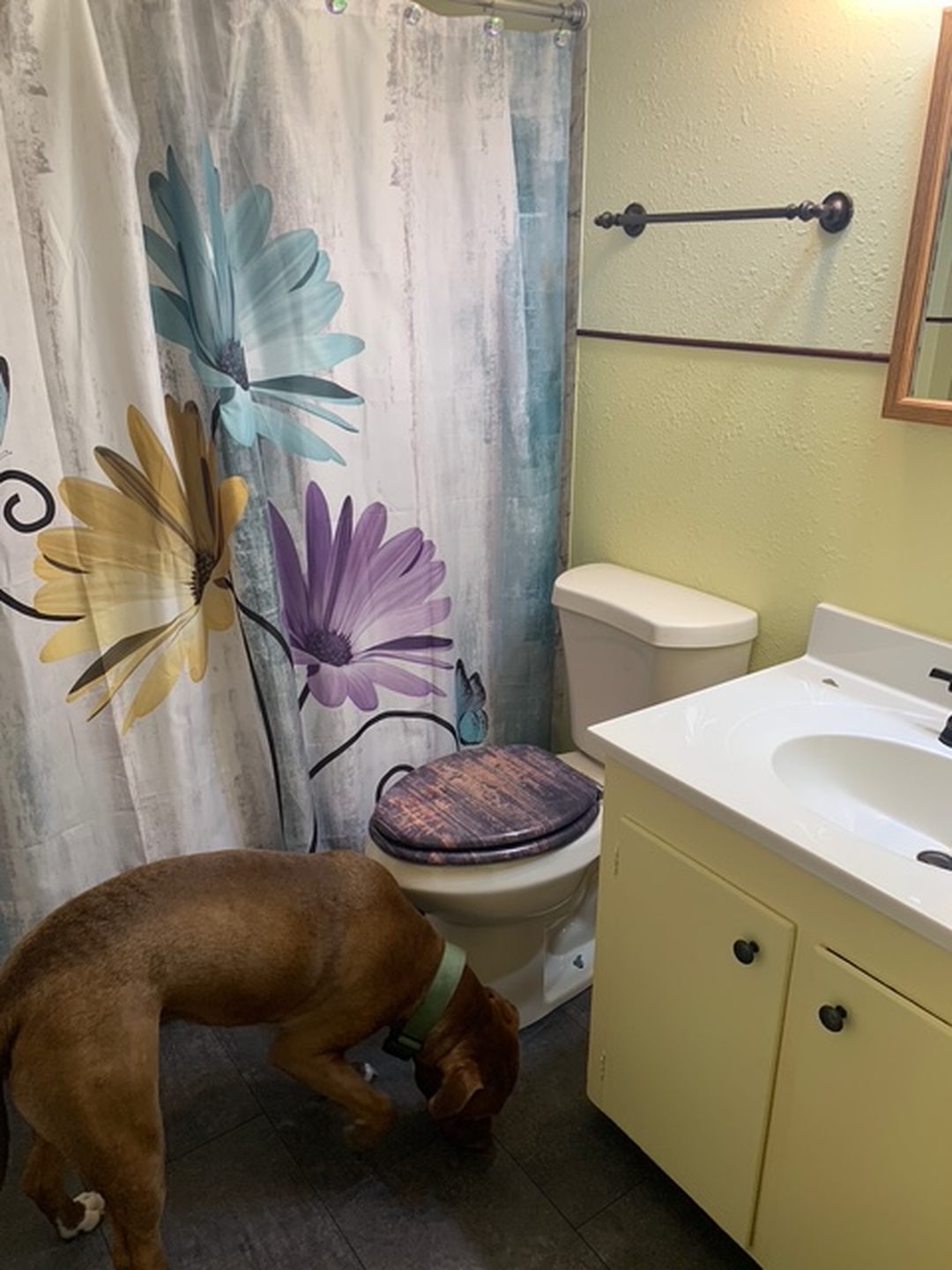 Bullseye Interior Painting LLC Image