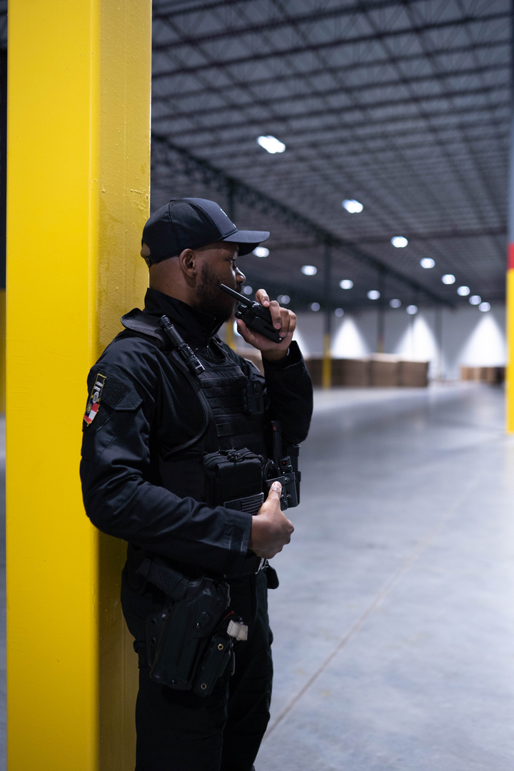 Georgia Defense Security Image