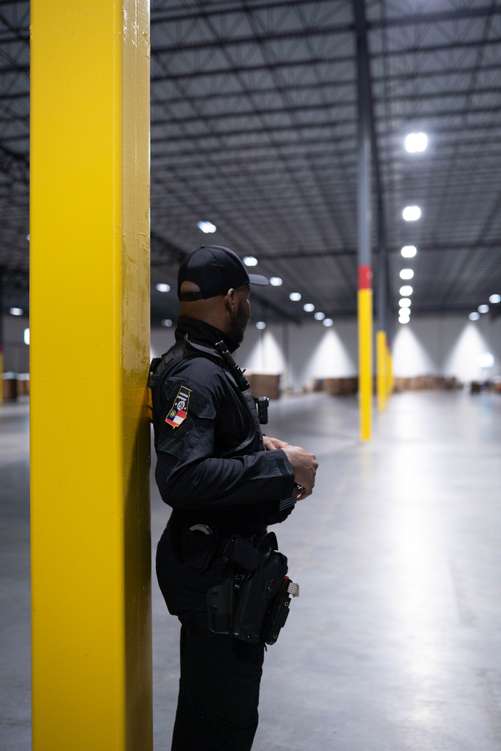 Georgia Defense Security Image