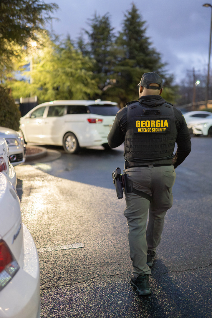 Georgia Defense Security Image