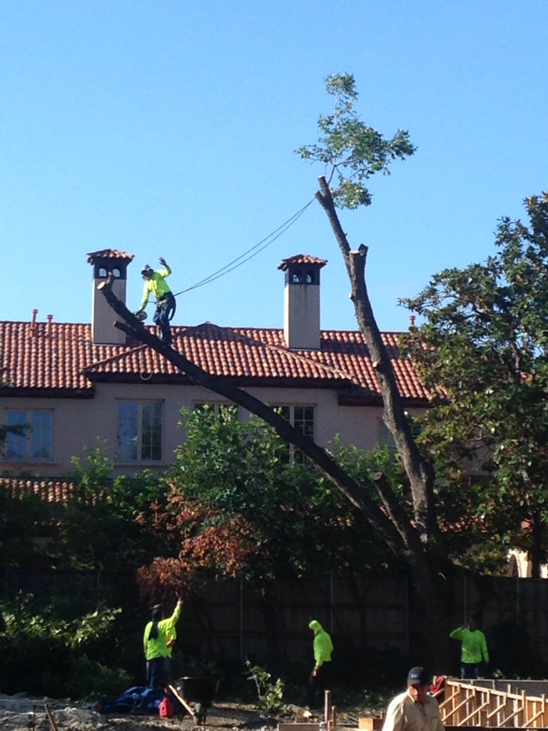 Arbor-Tech Tree Service - Terrell, TX