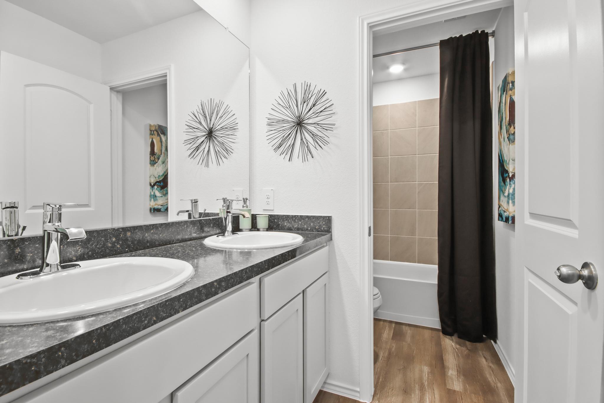 The Canopies by D.R. Horton Image