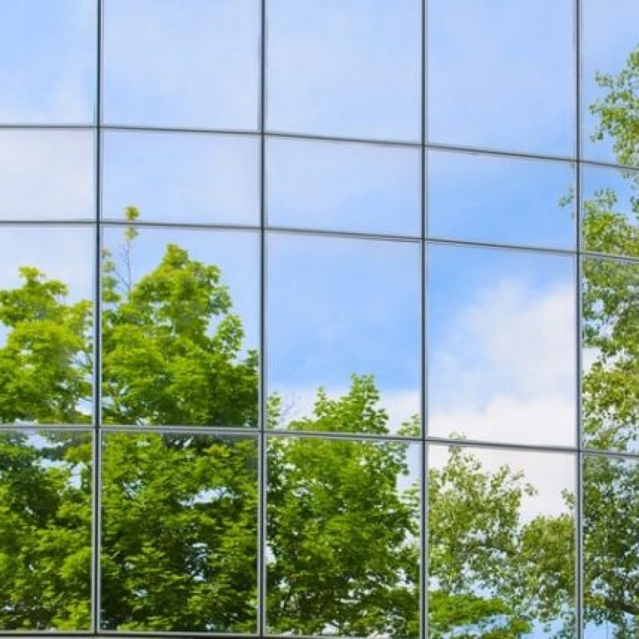 Arbor Care Inc Image