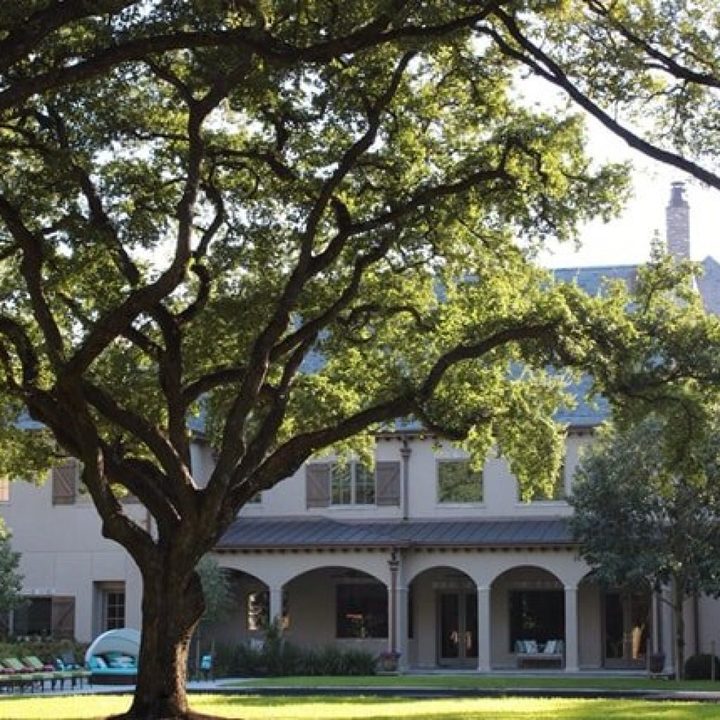 Arbor Care Inc Image