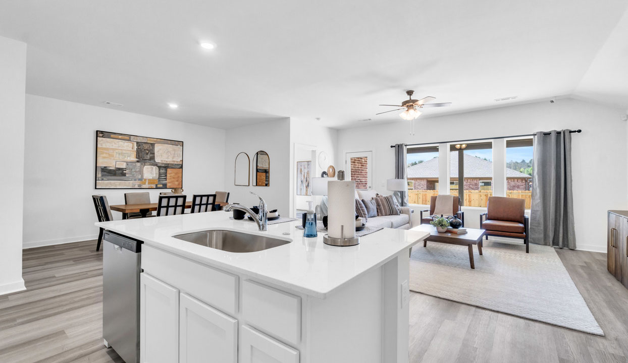 The Vineyard by D.R.Horton Image