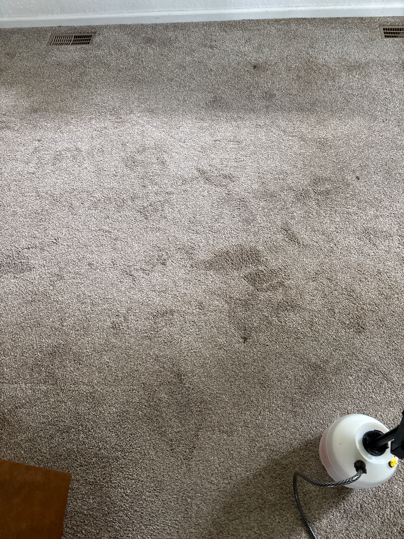 Colorado Choice Carpet Cleaning Image