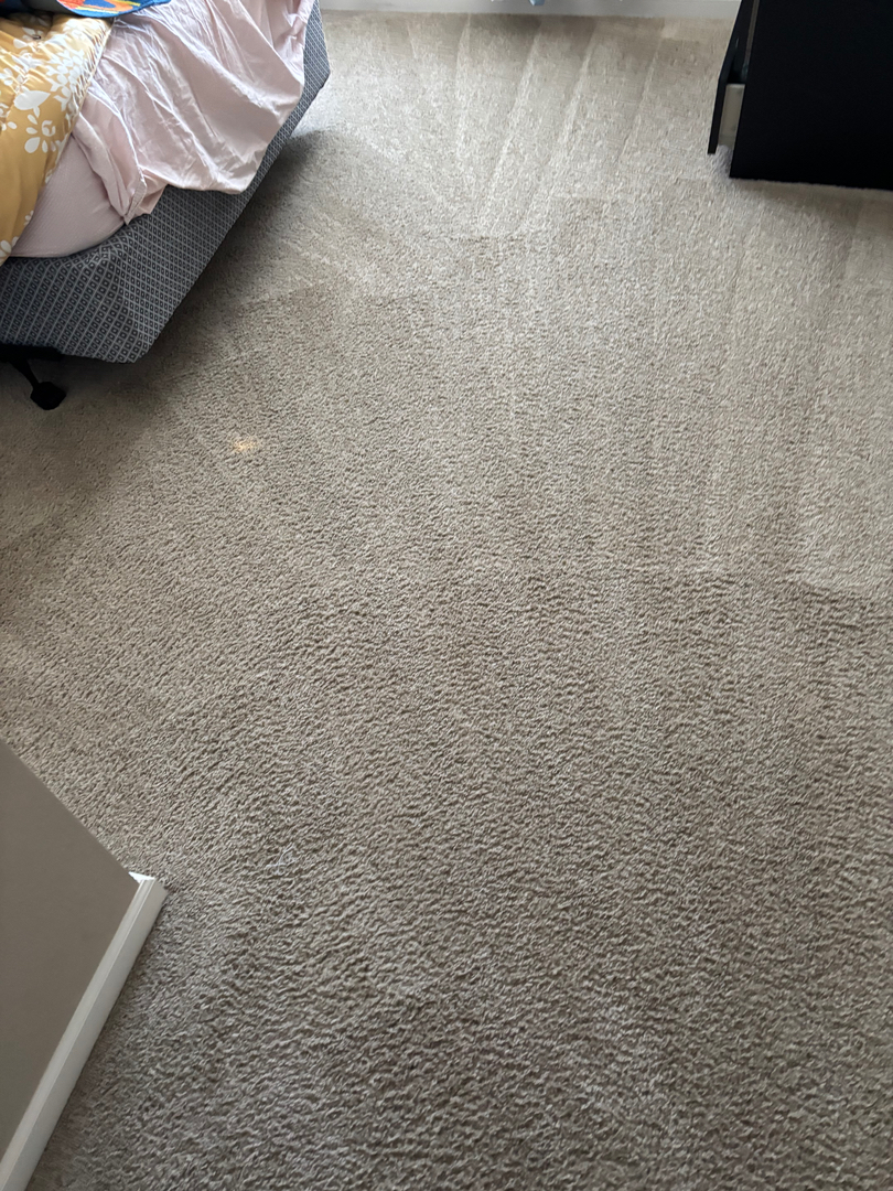 Colorado Choice Carpet Cleaning Image