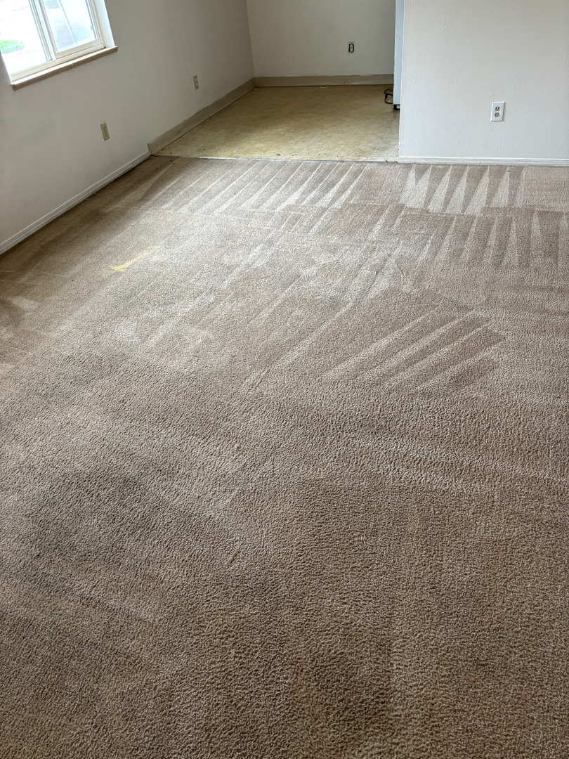 Colorado Choice Carpet Cleaning Image