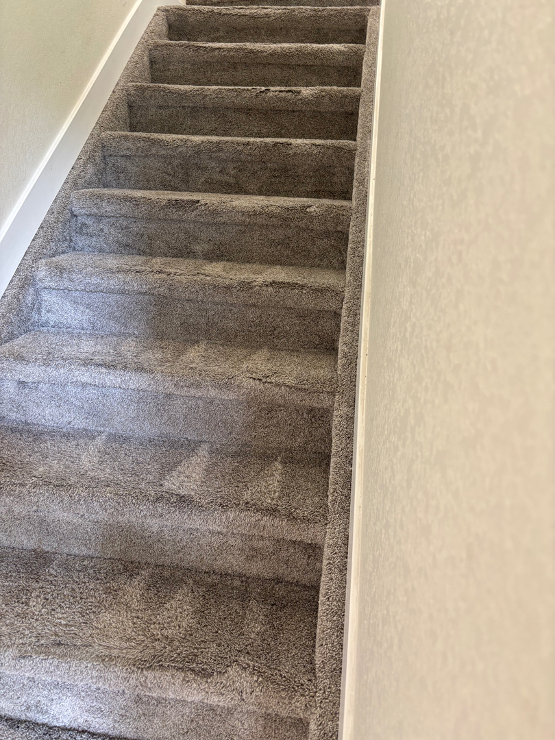 Colorado Choice Carpet Cleaning Image