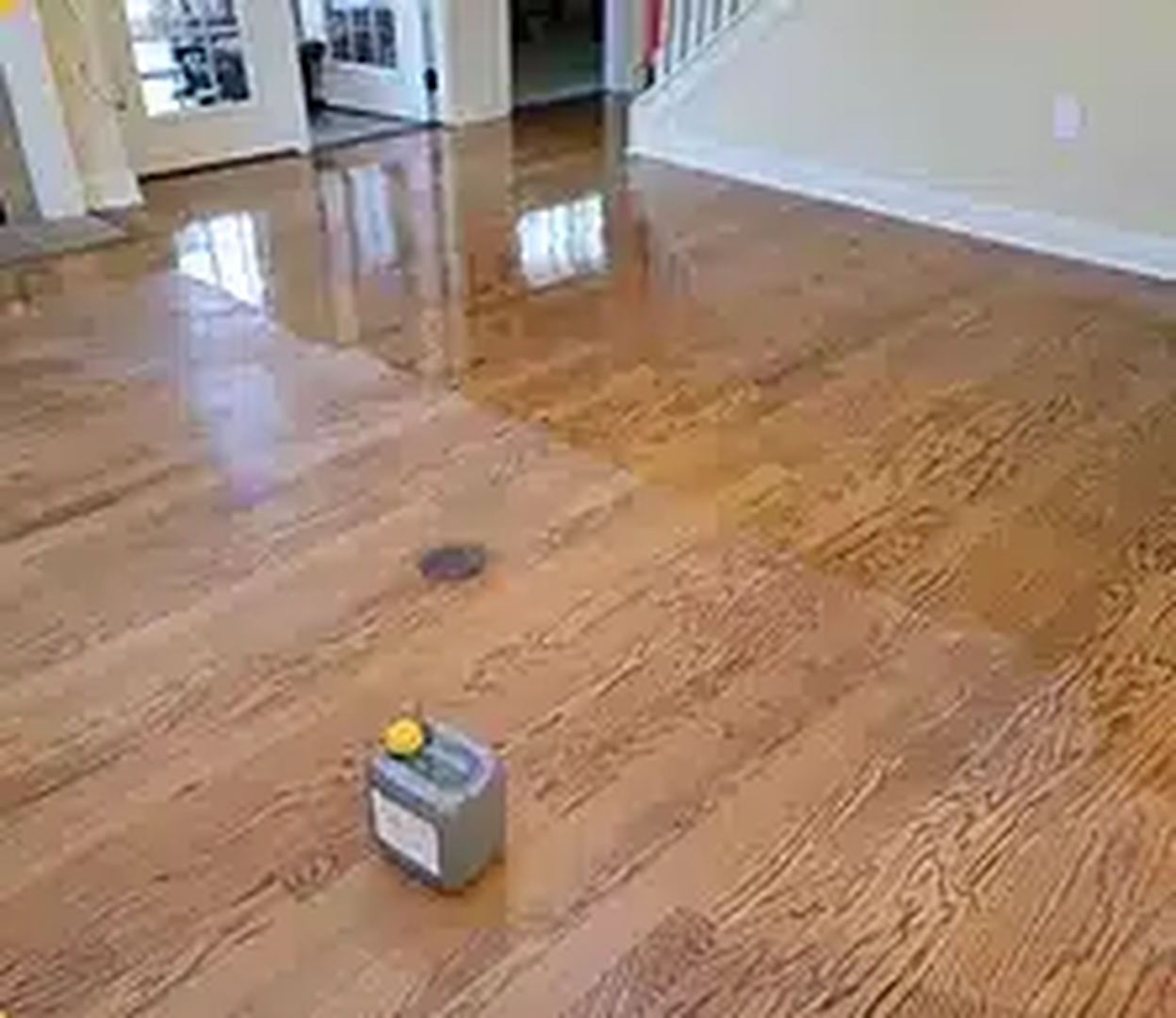 Colorado Choice Carpet Cleaning Image