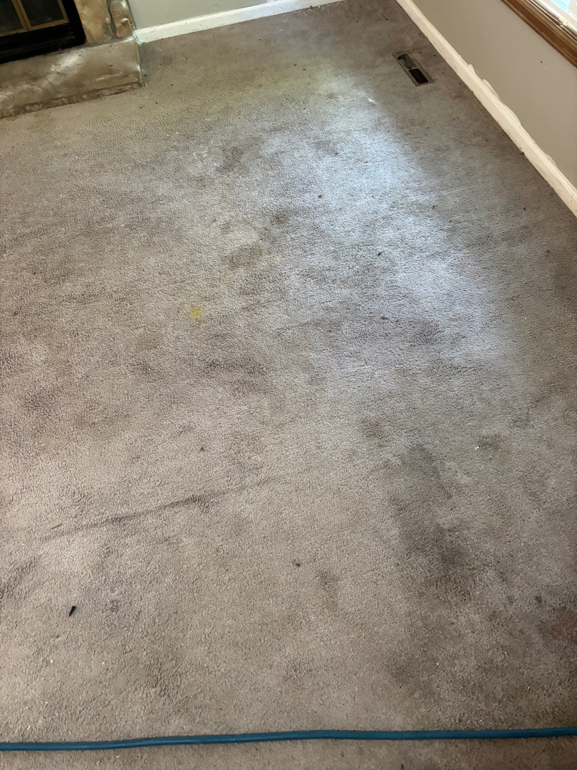 Colorado Choice Carpet Cleaning Image