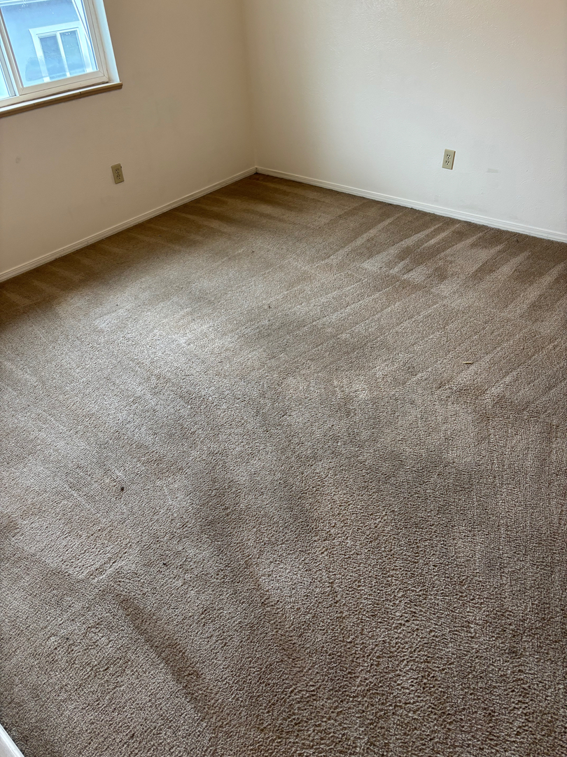 Colorado Choice Carpet Cleaning Image