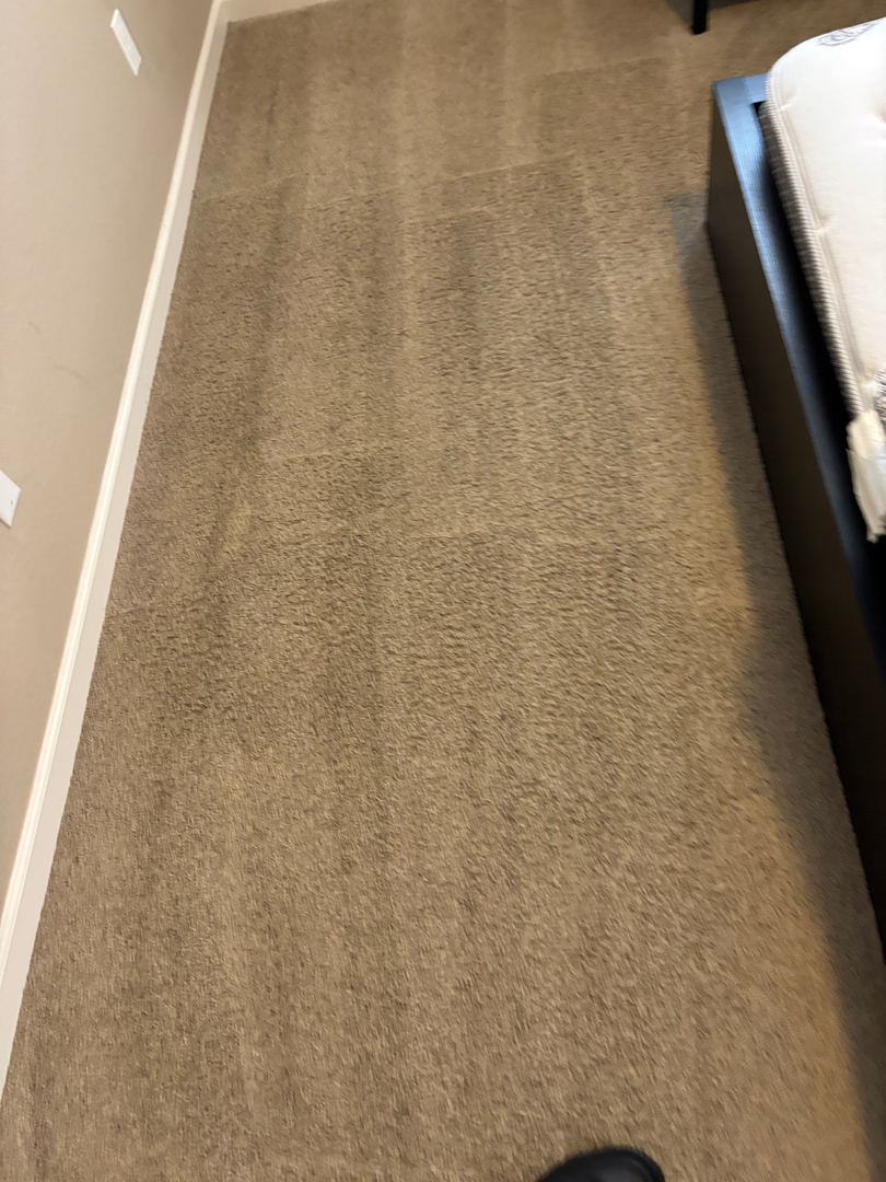 Colorado Choice Carpet Cleaning Image