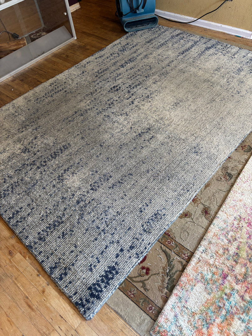 Colorado Choice Carpet Cleaning Image