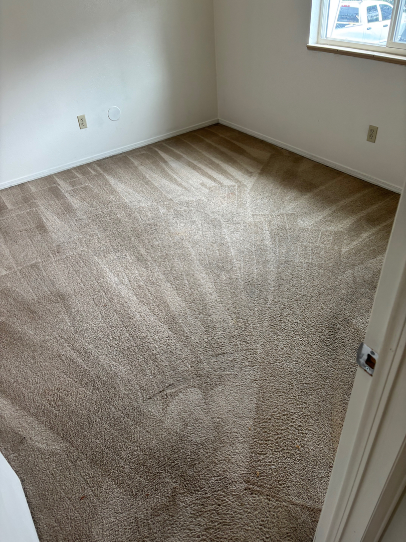 Colorado Choice Carpet Cleaning Image