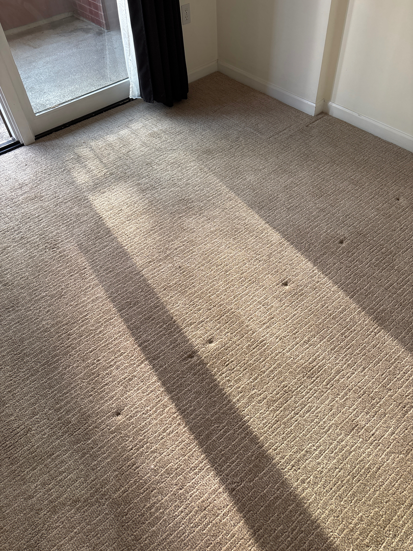 Colorado Choice Carpet Cleaning Image
