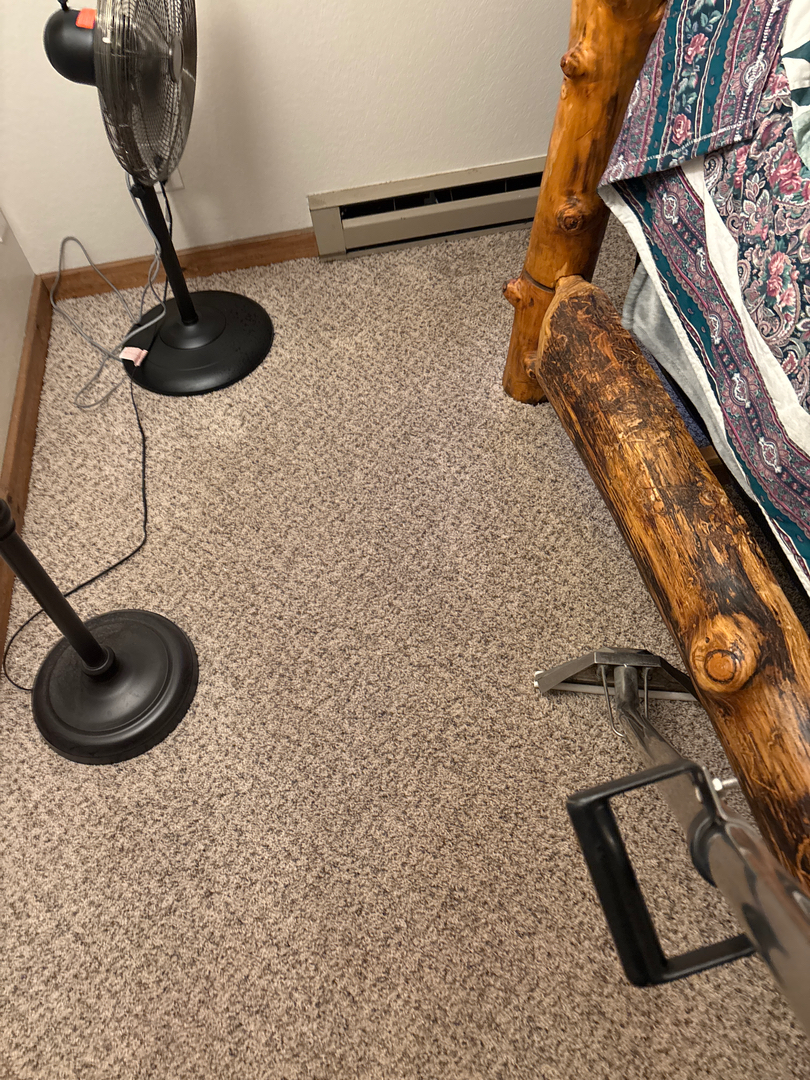 Colorado Choice Carpet Cleaning Image