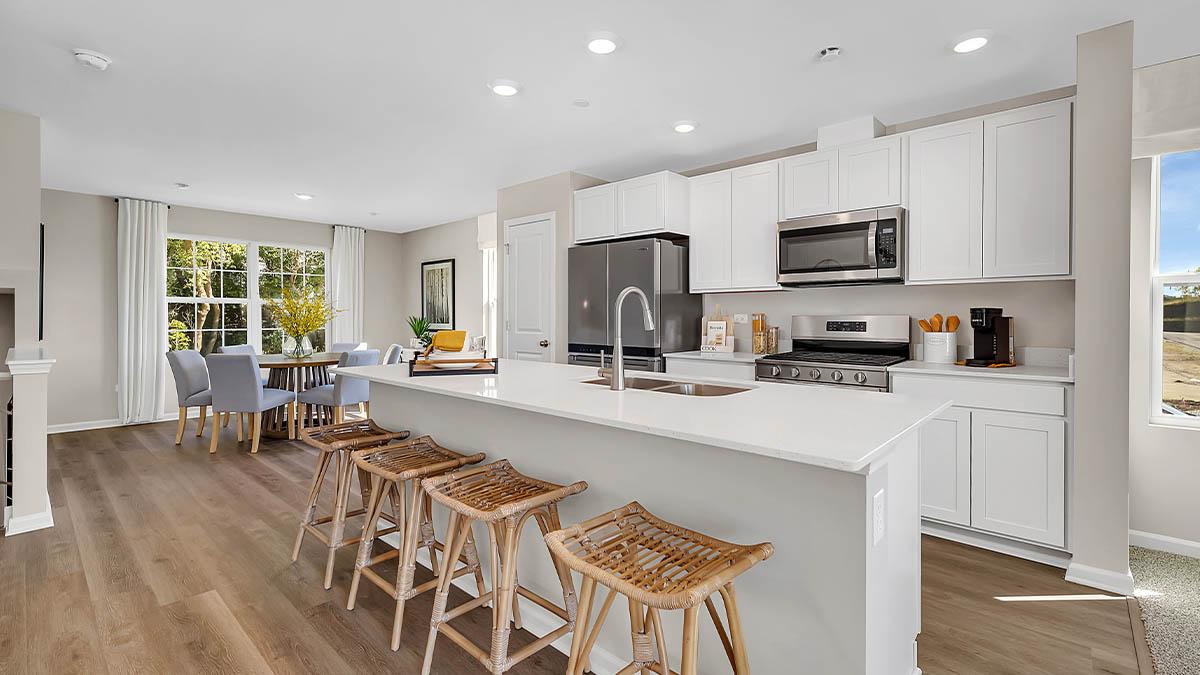 The Grasslands Townhomes by D.R. Horton - Bartlett, IL