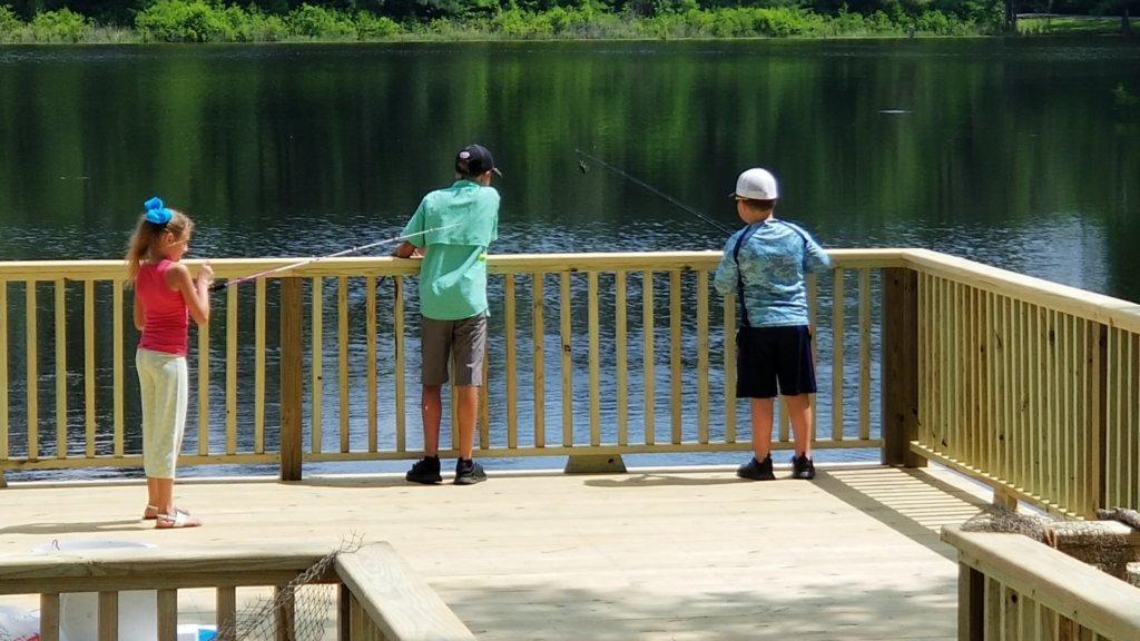 Drees Custom Homes at Grand Central Park Image