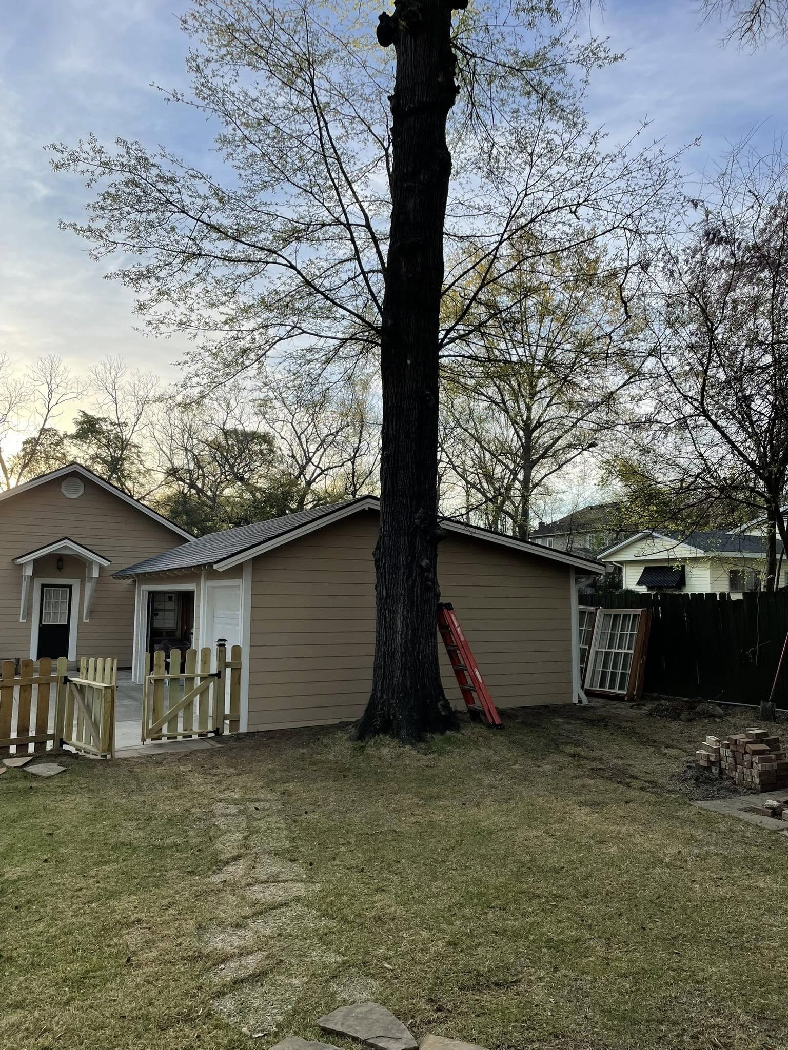 C & M Tree Service - Longview, TX