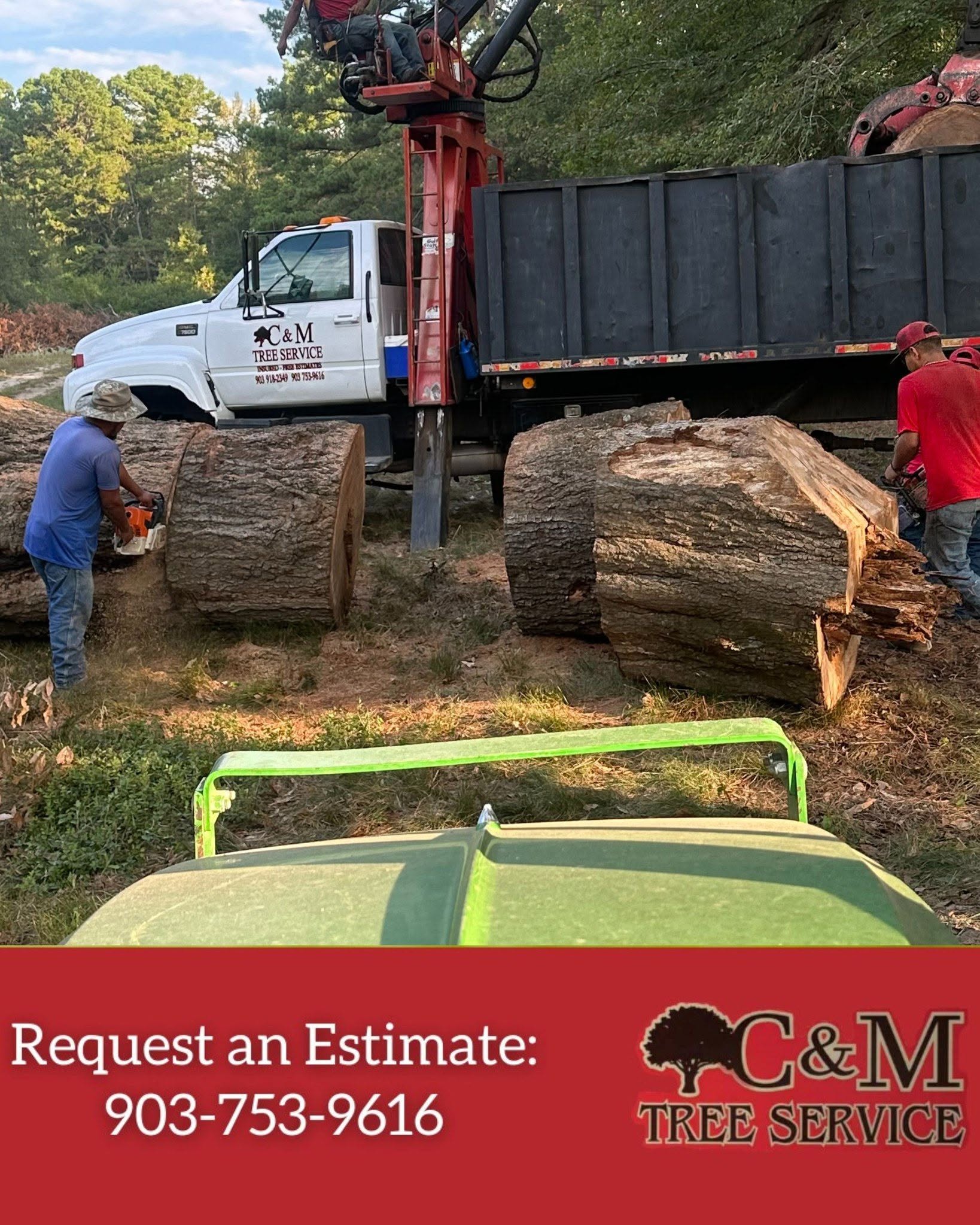 C & M Tree Service - Longview, TX