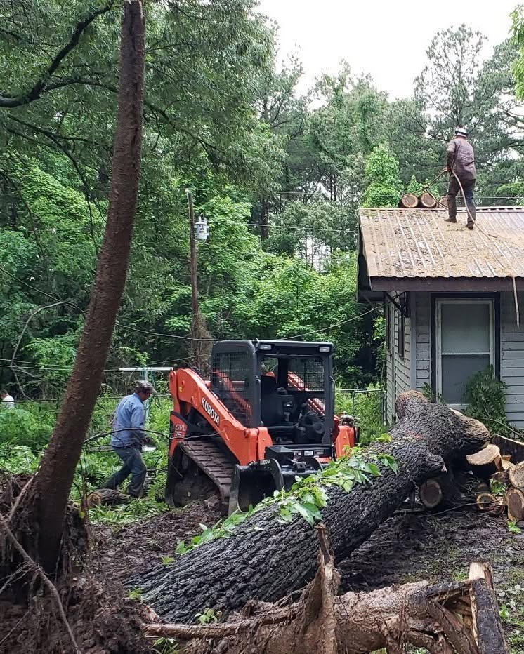 C & M Tree Service - Longview, TX