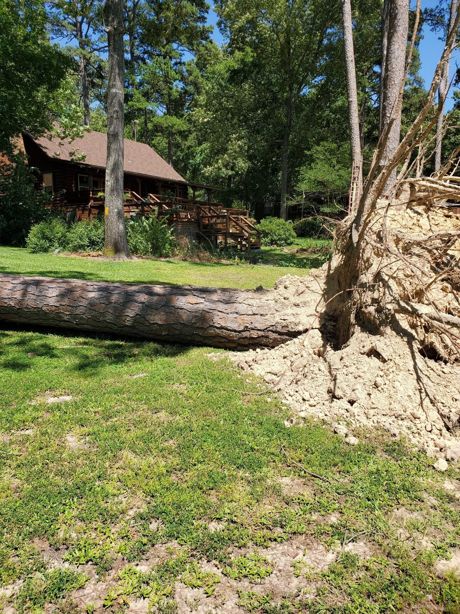 C & M Tree Service - Longview, TX