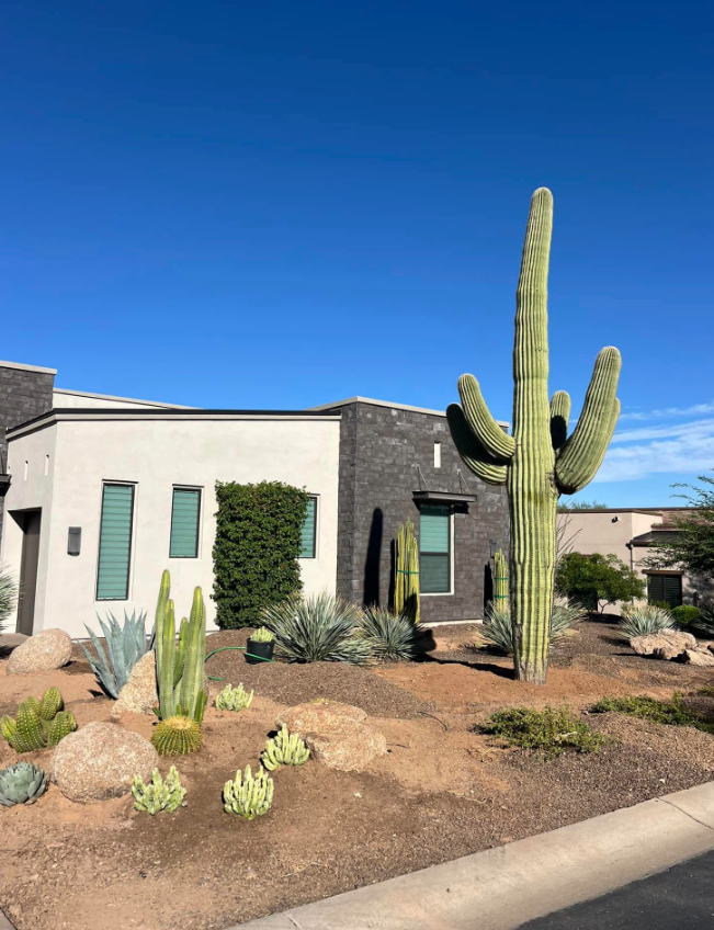 Southwest Cactus LLC Image