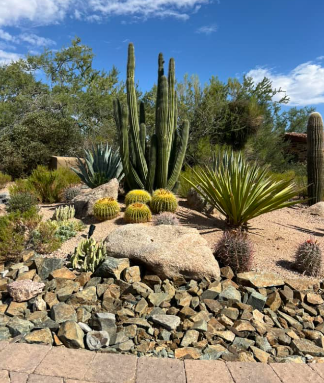 Southwest Cactus LLC Image
