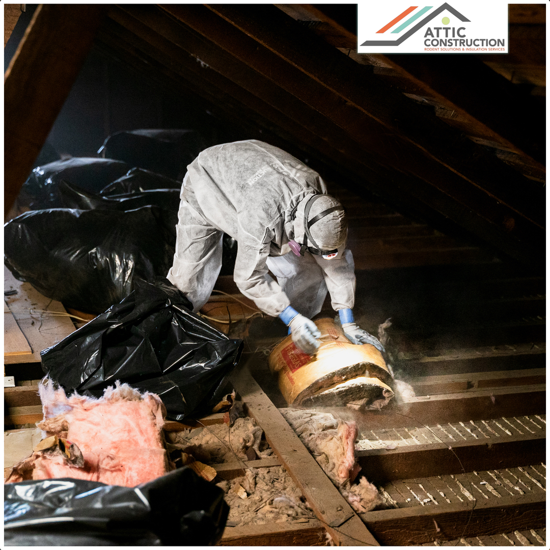 Attic Construction Image