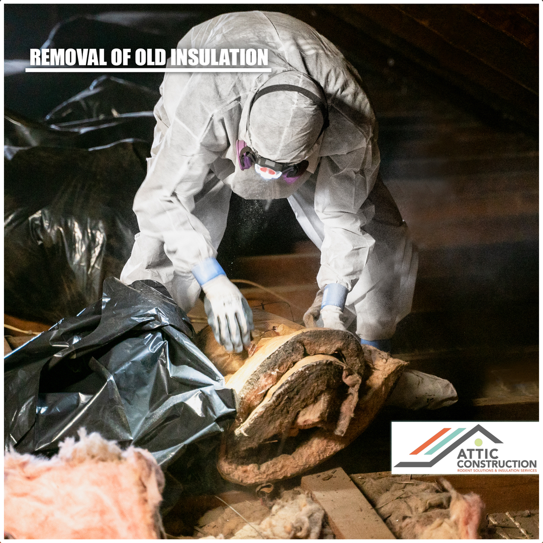 Attic Construction Image