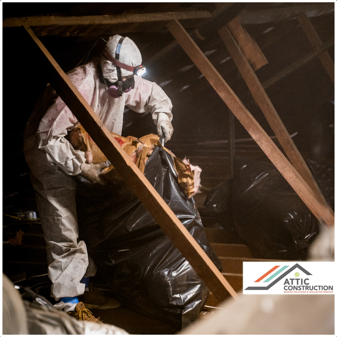 Attic Construction Image