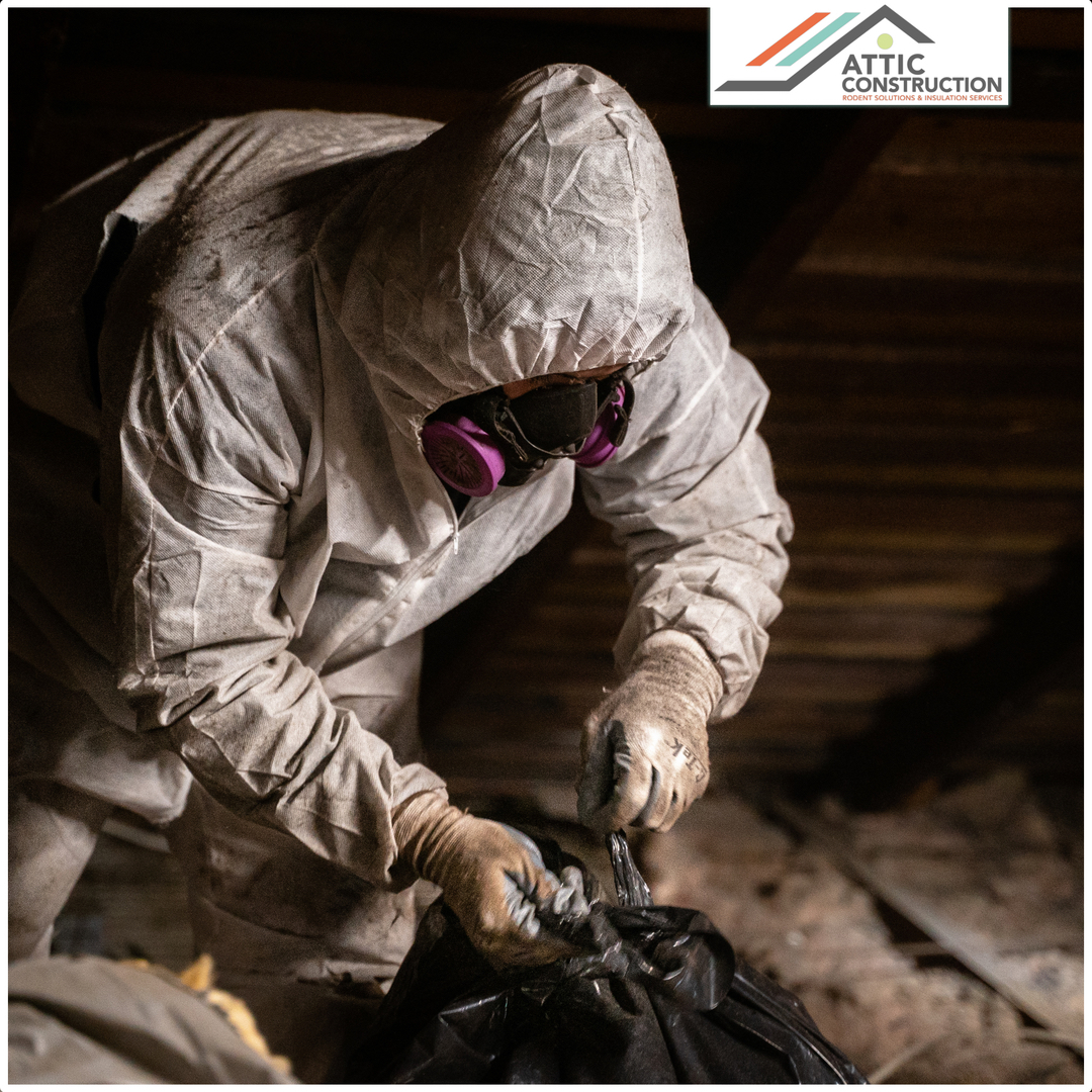 Attic Construction Image