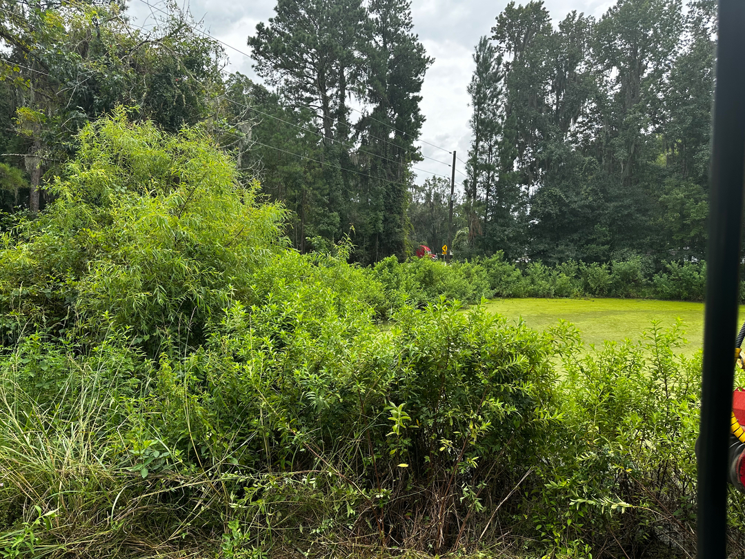 Swamp Gator ULM Image