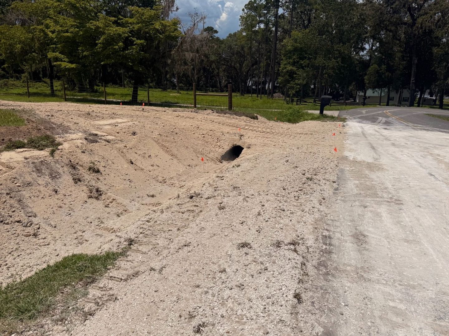 Swamp Gator ULM Image