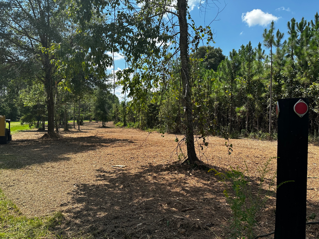 Swamp Gator ULM Image