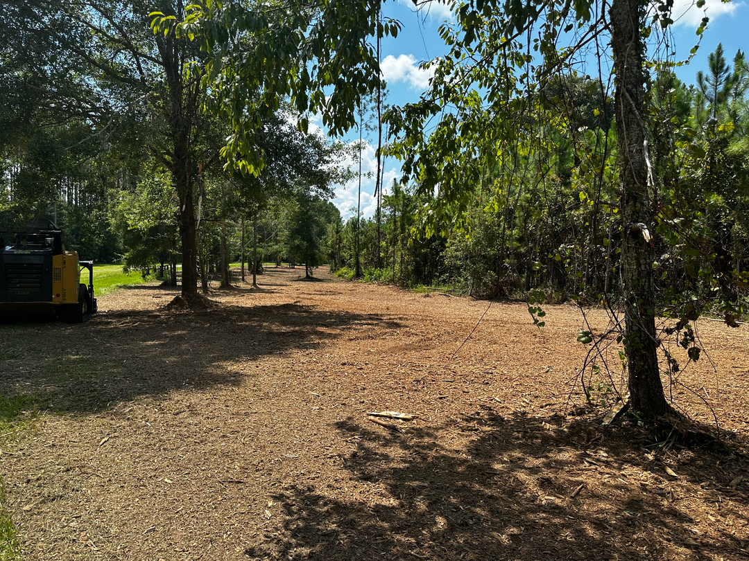 Swamp Gator ULM Image