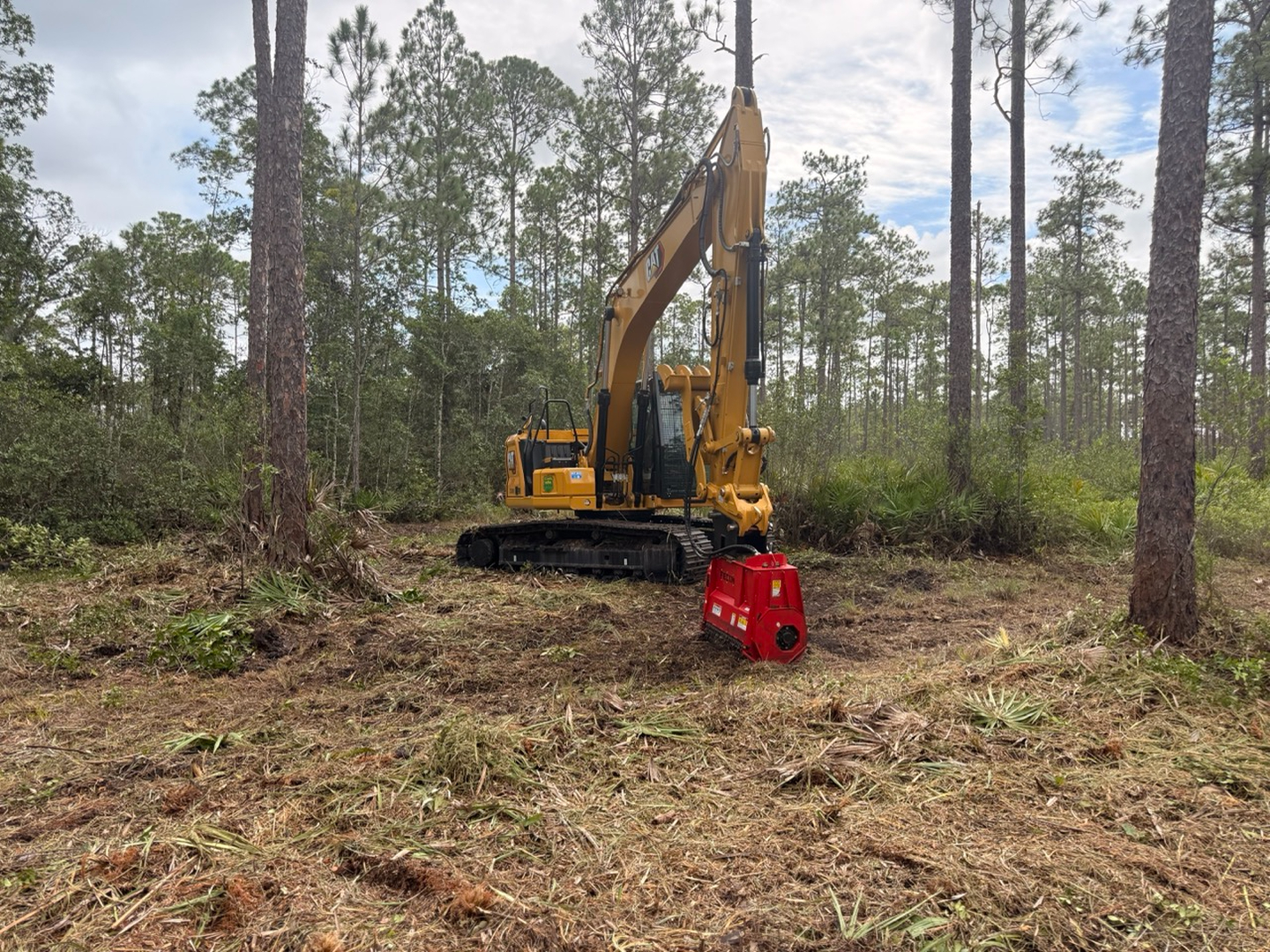 Swamp Gator ULM Image