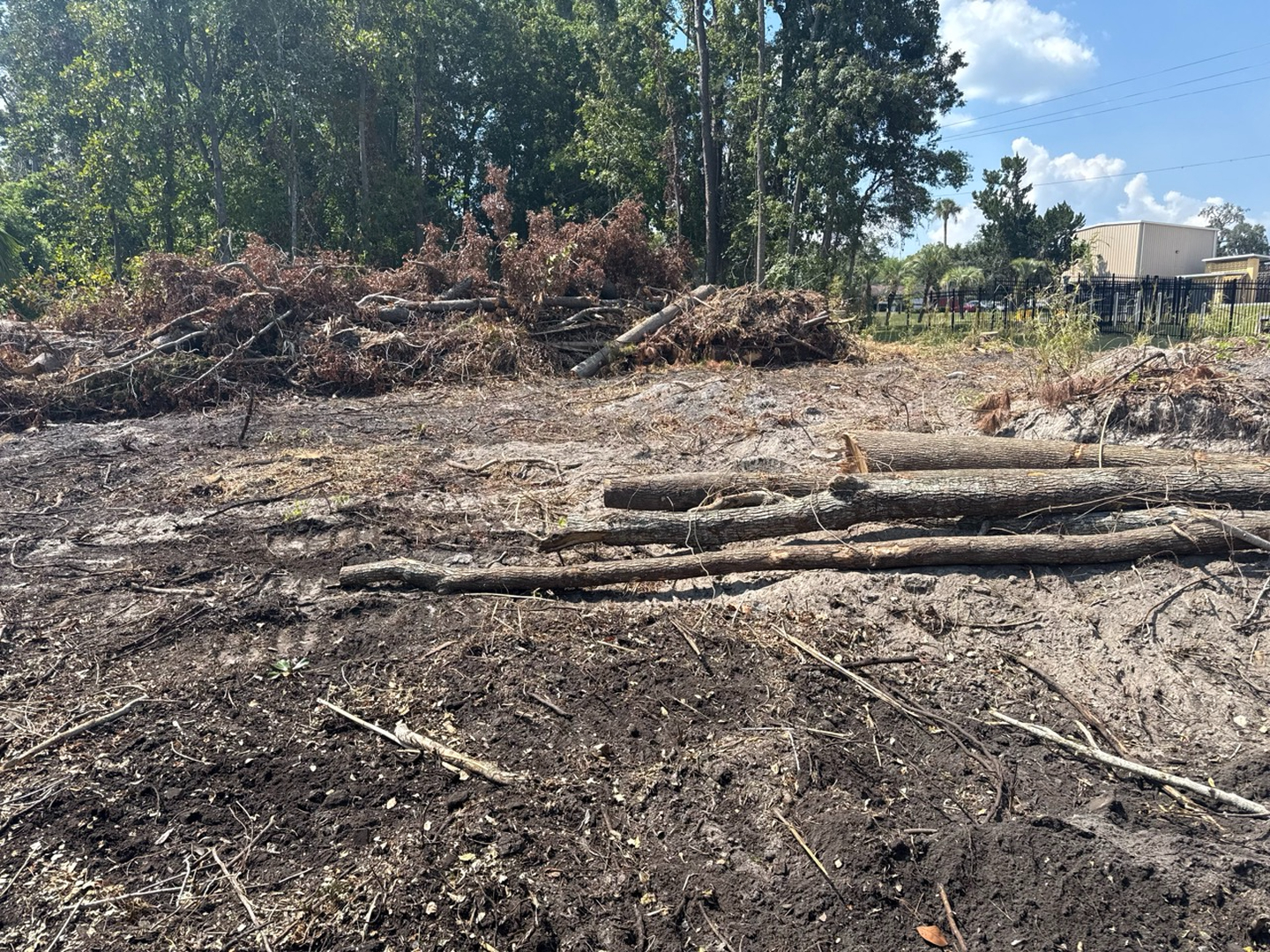 Swamp Gator ULM Image