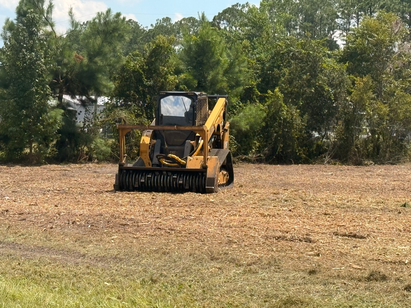 Swamp Gator ULM Image