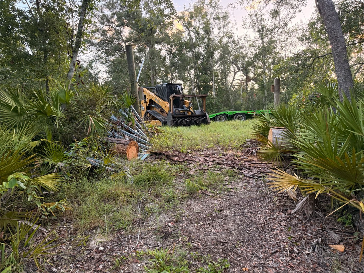 Swamp Gator ULM Image